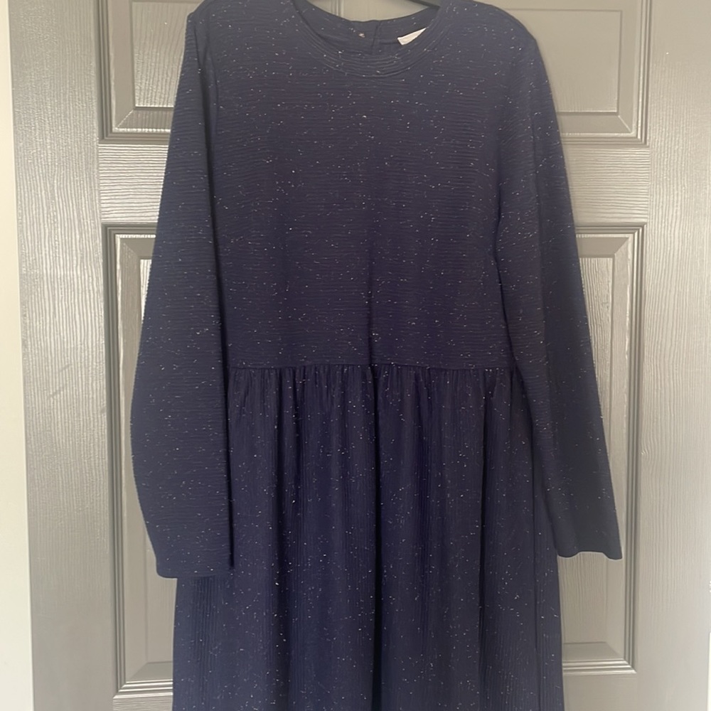 Navy Dress from LOFT